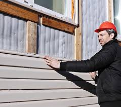 Best Custom Trim and Detailing for Siding  in Baraga, MI